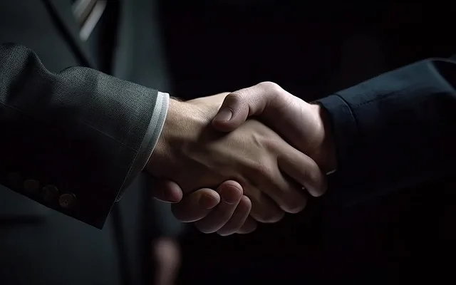 Two business people shaking hands